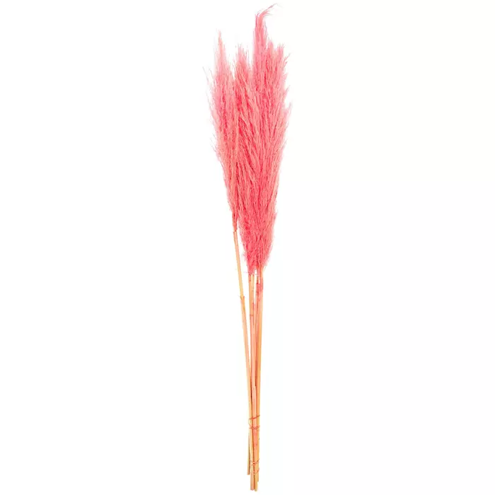 Пампасная трава "Pink" 3 стебля 110-120 см