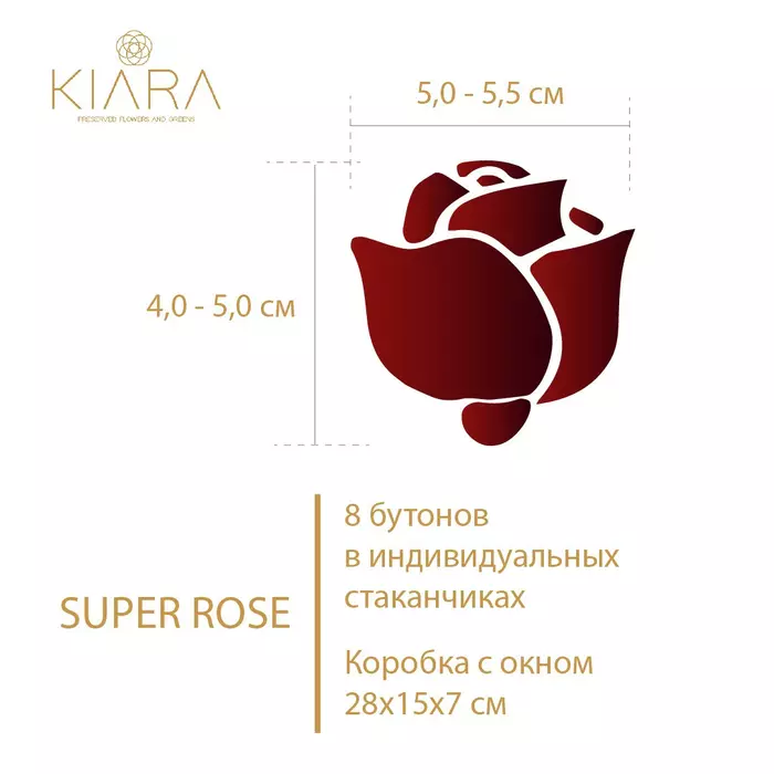 Бутоны розы "Cherry Rose" (Super Rose)
