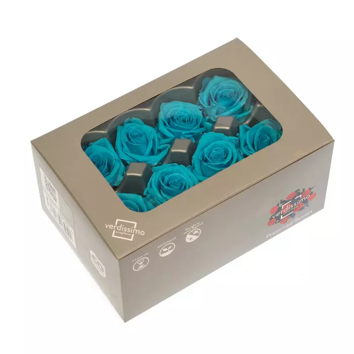 Бутоны розы "Turquoise" (Medium)