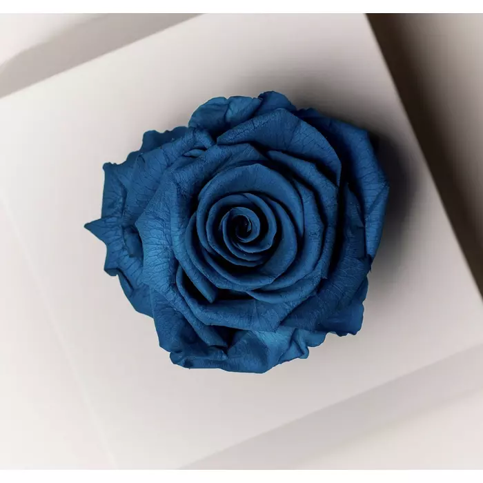 Бутоны розы "Turquoise"(Standard-new box)
