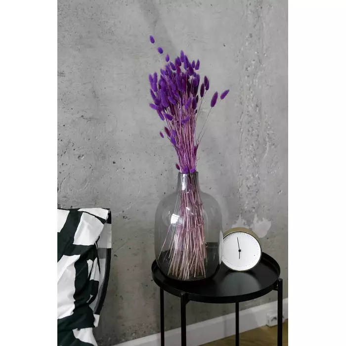 Лагурус пурпурный "Purple" 100 гр