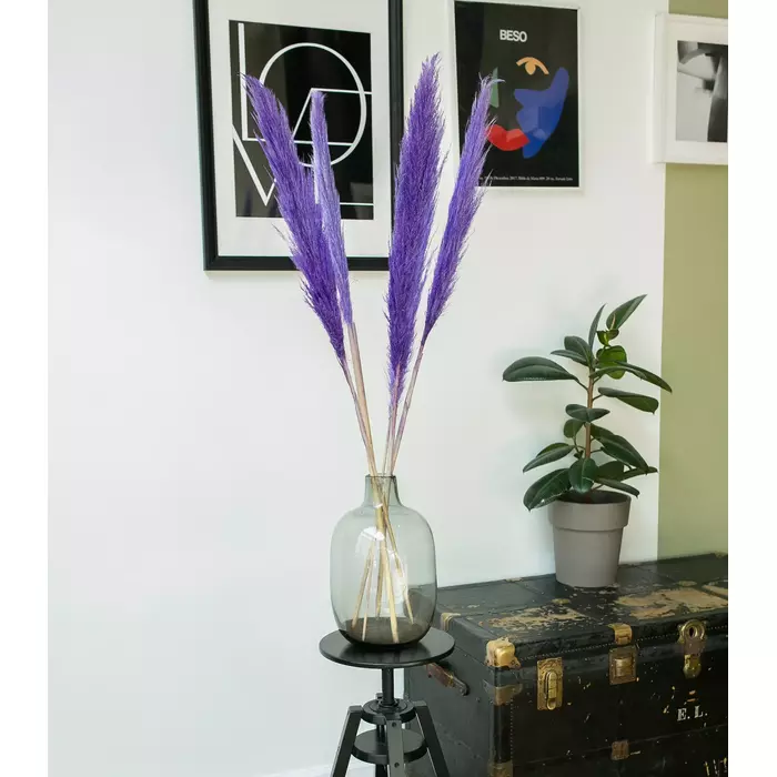 Пампасная трава "Purple" 5 стеблей 110-120 см